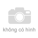 Biến áp điện lực