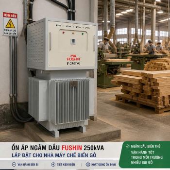 Ổn Áp 3 Pha Ngâm Dầu Fushin 250kVA: Tiết Kiệm Điện Cho Nhà Máy Vừa