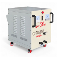 Máy Sạc Bình Ắc Quy, Sạc Tự Động 12V 100A Fushin